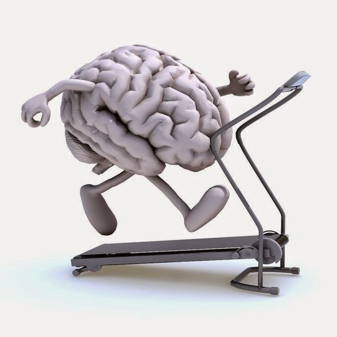 Para el desarrollo de su cerebro necesita una buena nutrición