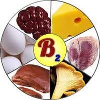 Vitamina B2 B2 para el cerebro